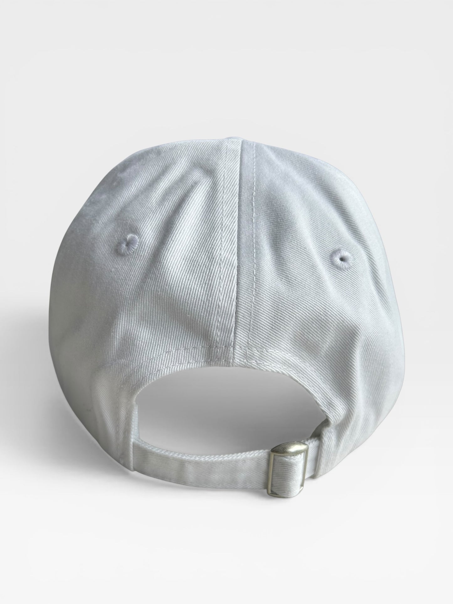 Collegiate Dad Cap